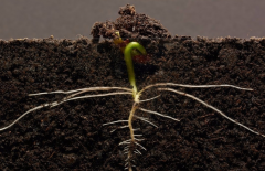 土壤水分測(cè)定站要如何維護(hù)？